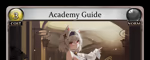 Academy Guide