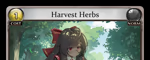 Harvest Herbs