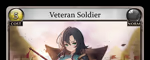 Veteran Soldier