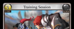 Training Session