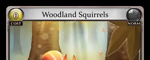 Woodland Squirrels