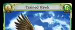 Trained Hawk