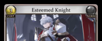 Esteemed Knight