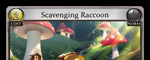 Scavenging Raccoon