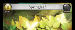 Springleaf
