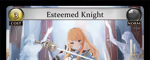 Esteemed Knight