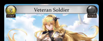 Veteran Soldier
