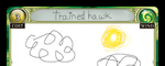 Trained Hawk