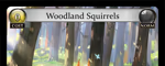 Woodland Squirrels